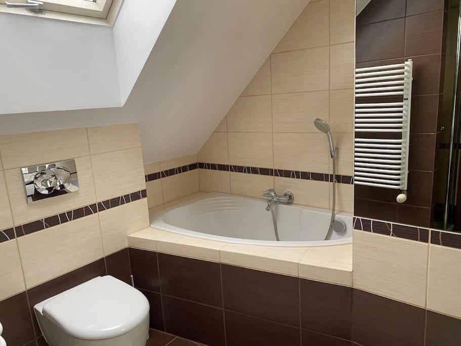 4 Bedroom Family House With Access To A Hot Tub Goczalkowice-Zdroj Exterior photo
